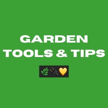 Beginner Tools & Tips